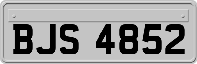 BJS4852