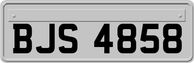 BJS4858