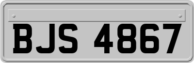 BJS4867