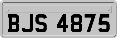BJS4875