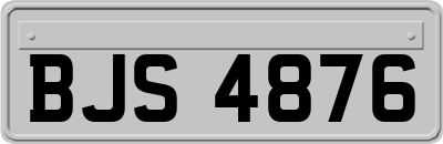 BJS4876