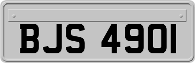 BJS4901