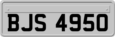 BJS4950