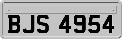 BJS4954