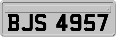BJS4957