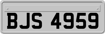 BJS4959
