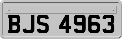 BJS4963