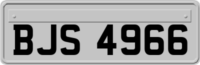 BJS4966