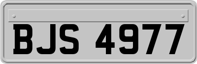 BJS4977