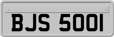 BJS5001