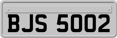 BJS5002