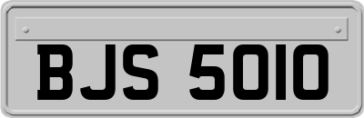BJS5010