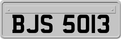 BJS5013