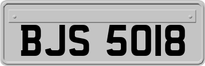 BJS5018