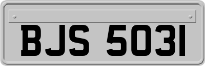 BJS5031