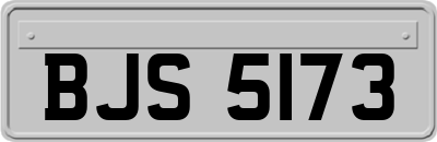 BJS5173