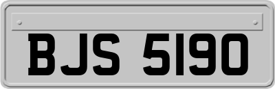 BJS5190