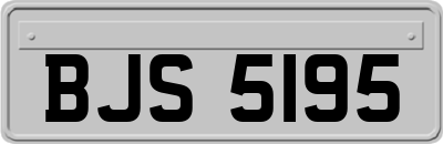 BJS5195