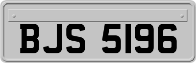 BJS5196