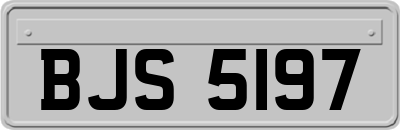 BJS5197