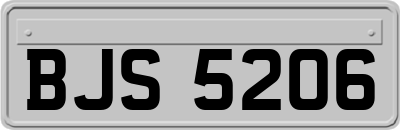 BJS5206