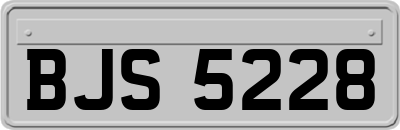 BJS5228