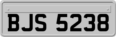 BJS5238