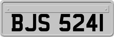 BJS5241