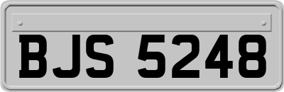 BJS5248