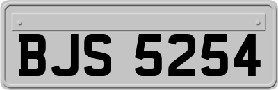 BJS5254