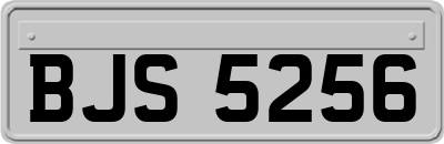 BJS5256