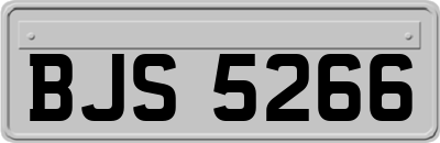 BJS5266