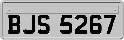 BJS5267