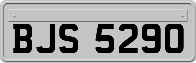 BJS5290