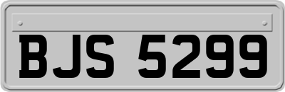 BJS5299