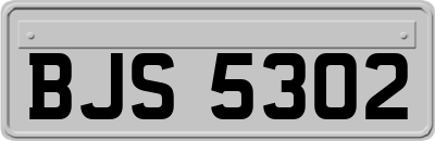 BJS5302
