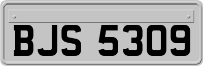BJS5309