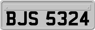 BJS5324