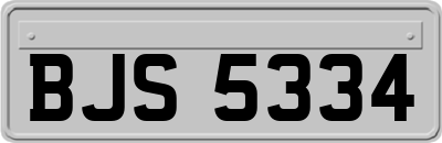 BJS5334