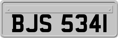 BJS5341