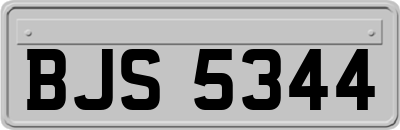 BJS5344