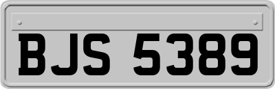 BJS5389