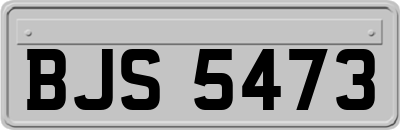 BJS5473