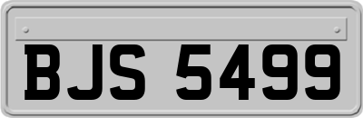 BJS5499