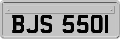 BJS5501