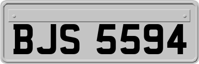 BJS5594