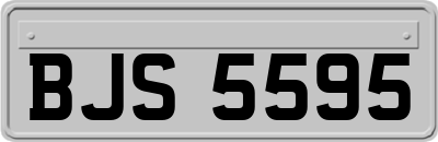 BJS5595