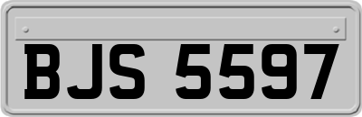 BJS5597