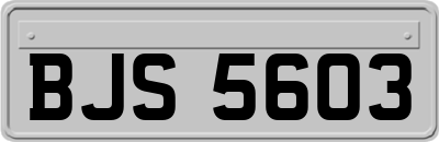 BJS5603