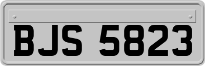BJS5823